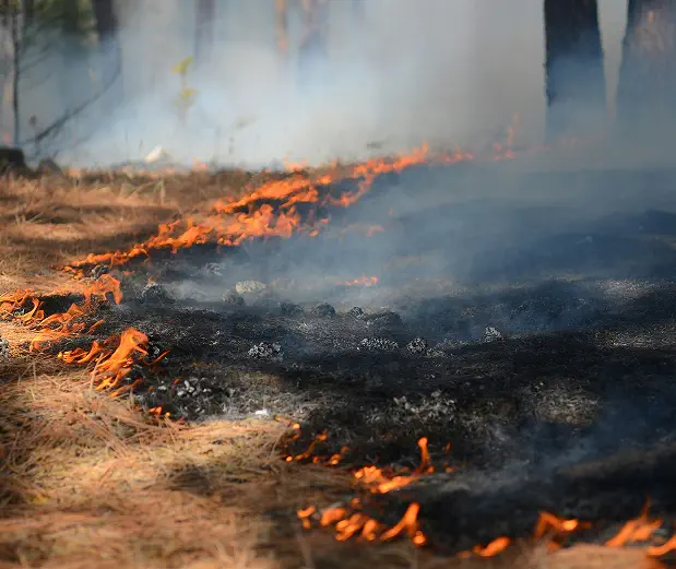 Elite Earthworks fire control in california