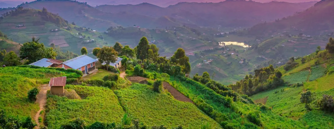 Elite Earthworks in Uguanda